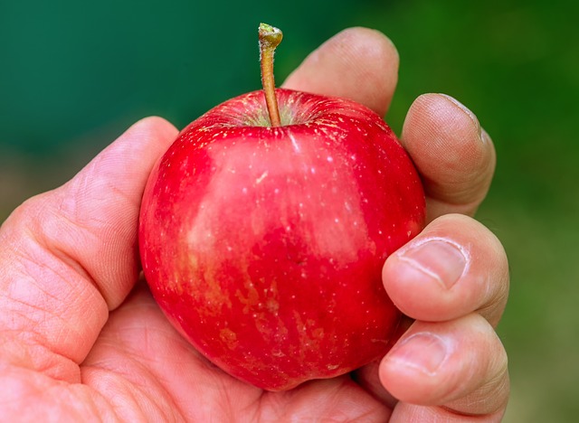 jablko v dlani
